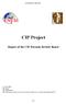 CIP PROJECT REPORT. CIP Project. Report of the CIP Forensic Review Board
