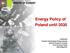 Energy Policy of Poland until 2030