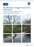 Dunkellin River and Aggard Stream Flood Relief Scheme
