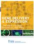 GENE DELIVERY & EXPRESSION