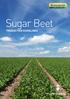 Sugar Beet PRODUCTION GUIDELINES