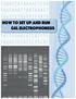 How to Set Up and Run Gel Electrophoresis