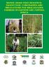 NAPIER GRASS FEED RESOURCE: PRODUCTION, CONSTRAINTS AND IMPLICATIONS FOR SMALLHOLDER FARMERS IN EASTERN AND CENTRAL AFRICA