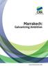 Marrakech: Galvanizing Ambition. Annual Policy Document 2016 CLIMATE ACTION NETWORK MARRAKECH: GALVANIZING AMBITION 1