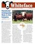 Whiteface HEREFORDS The Efficiency Experts August 2009