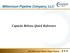 Millennium Pipeline Company, LLC. Capacity Release Quick Reference Millennium Pipeline Shipper Meeting