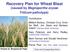 Recovery Plan for Wheat Blast (caused by Magnaporthe oryzae Triticum pathotype)