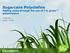 Sugarcane Polyolefins Adding value through the use of I m greentm polyethylene. Fullplast Julio, 2013