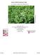Organic Alfalfa Management Guide