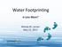 Water Footprinting. Is Less More? Wendy M. Larson May 12, 2011