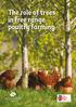 The role of trees in free range poultry farming