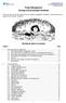 Workbook table of contents