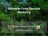 Indonesian Forest Resource Monitoring