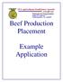 Beef Production Placement. Example Application