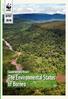 SUPPLEMENTARY REPORT. Supplementary Report. The Environmental Status of Borneo. Supplementary Report: The Environmental Status of Borneo 1