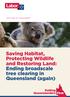 Saving Habitat, Protecting Wildlife and Restoring Land: Ending broadscale tree clearing in Queensland (again)