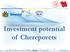 CHEREPOVETS: Warm Heart of the Russian North. Investment potential of Cherepovets