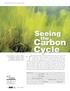 Carbon Cycle. Seeing. the. by Pamela Drouin, David J. Welty, Daniel Repeta, Cheryl A. Engle- Belknap, Catherine Cramer, Kim Frashure,and Robert Chen.