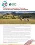 Towards a Conservation Strategy for the World s Temperate Grasslands