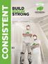 CONSISTENT BUILD BISON STRONG LAFARGE GYPSUM IS NOW