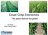 Cover Crop Economics. The green behind the green. Jim Stute Rock County UWEX