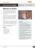 Moisture in timber. Wood Information Sheet. Key points. Contents. Subject: Timber general Revised: December 2011