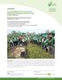 Forest Rehabilitation of Post-mining Areas: Mitigating the Ecological and Socio-Economic Impacts of Mining