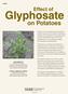 Glyphosate. on Potatoes. Effect of A1642