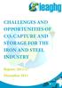 CHALLENGES AND OPPORTUNITIES OF CO 2 CAPTURE AND STORAGE FOR THE IRON AND STEEL INDUSTRY