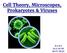 Cell Theory, Microscopes, Prokaryotes & Viruses