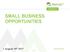 SMALL BUSINESS OPPORTUNITIES