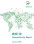dot ie Domain Profile Report