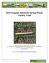 2016 Organic Heirloom Spring Wheat Variety Trial
