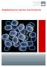 Staphylococcus aureus bacteraemia Cases in Denmark 2016