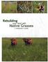 Rebuilding. your land with. Native Grasses A PRODUCER S GUIDE