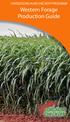 UNITED SORGHUM CHECKOFF PROGRAM. Western Forage Production Guide
