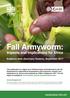 Fall Armyworm: Impacts and Implications for Africa. Evidence Note (Summary Version), September 2017