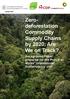 Zerodeforestation. Commodity Supply Chains by 2020: Are We on Track?