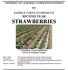 SAMPLE COSTS TO PRODUCE SECOND YEAR STRAWBERRIES