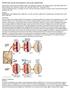 PTH Effects Bone Healing and Vasculogenesis in Calvaria Bone Allograft Model