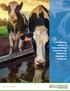 A Preliminary Review of Dairy Licensing, Inspection and Regulatory Oversight in Tennessee