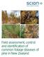 Field assessment, control and identification of common foliage diseases of pine in New Zealand