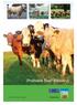 Profitable Beef Breeding.  Produced by