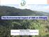 The Environmental Impact of EBA on Ethiopia. Wubalem Tadesse Ethiopian Environment and Forest Research Institute