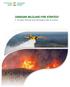 CANADIAN WILDLAND FIRE STRATEGY. A 10-year Review and Renewed Call to Action