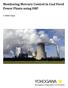 Monitoring Mercury Control in Coal Fired Power Plants using ORP. A White Paper