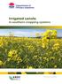 Irrigated canola in southern cropping systems