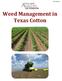 SCS Weed Management in Texas Cotton