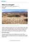 What is a drought? How Droughts Happen. By Gale, Cengage Learning, adapted by Newsela staff on Word Count 871 Level 1020L
