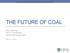 THE FUTURE OF COAL. Bruce Watzman Senior Vice President National Mining Association. April 23, 2013
